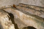 PICTURES/Malta - Day 3 - Doumus Romana, Rabat & Catacombs/t_Nine.JPG